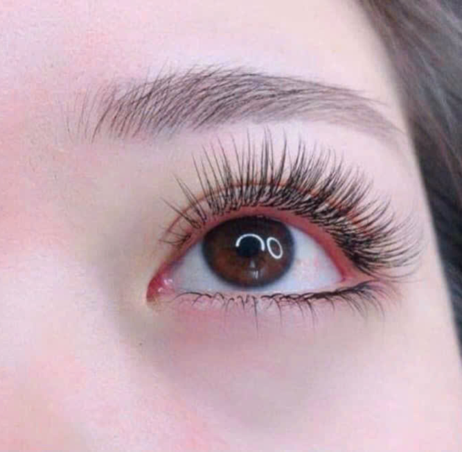 Khóa học nối mi
